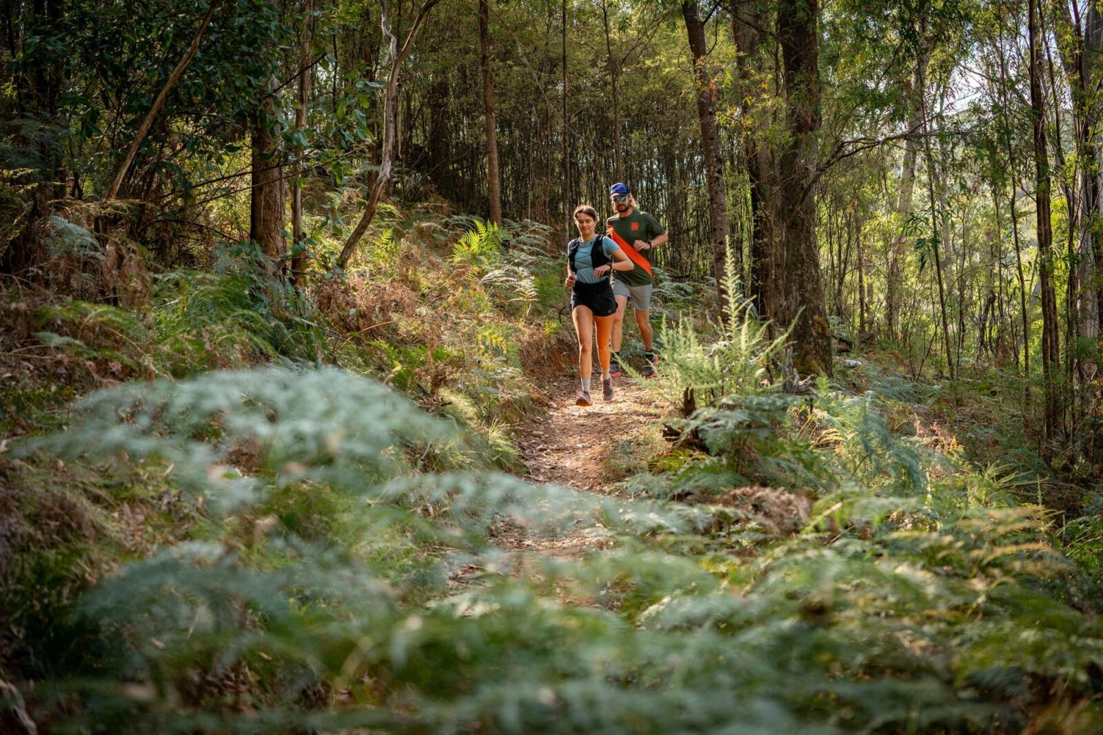 Fern fringed fun on the Beechworth Beer Run