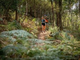 Fern fringed fun on the Beechworth Beer Run
