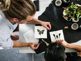 Two people pinning butterflies on paper