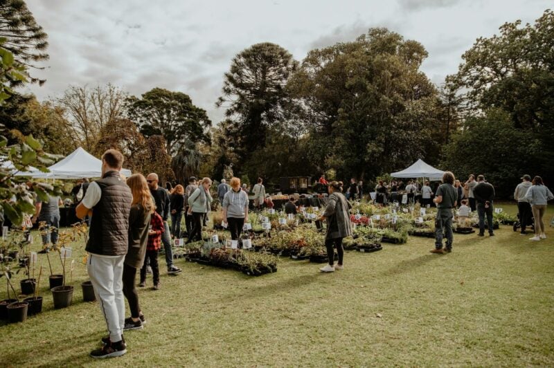 Rippon Lea Estate Botanica Festival