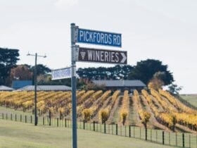 Mt Coghill Vineyard Road Signs