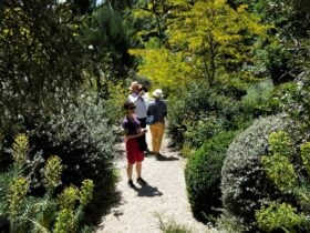 Photo of people walking along a gravel garden path