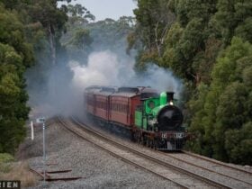 Steamrail Victoria Locomotive Y112