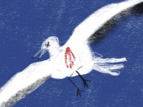The Seagull