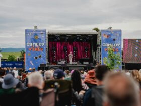 Comedy in the Vines