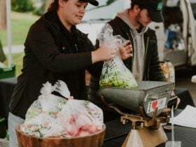 Female market stallholder packing a bag of apples at a market stall