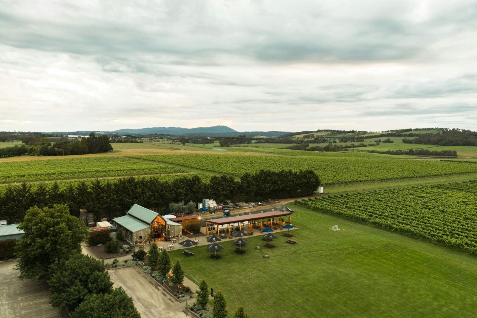 aerial tokar estate cellar door