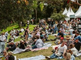 a big crowd sitting on the grass at the Village Feast