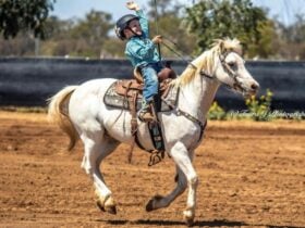 Echuca Pro Rodeo