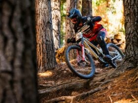 Off road cyclist with full face helmet between pine single track at Mystic Bike Park