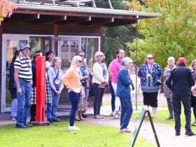 Spring into Bonegilla