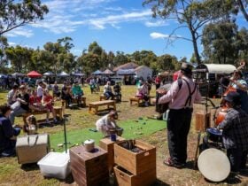 Eynesbury Market Drongo and the Crow performing