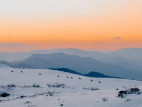 Falls Creek Summit
