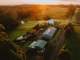 17 Pounds Country Retreat