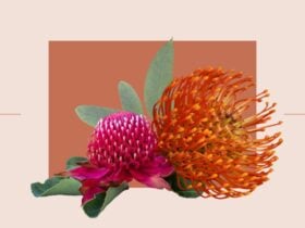 Native flowers on a red and pink background.