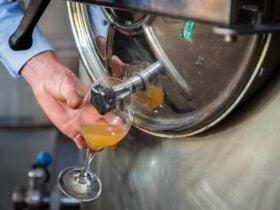 Daylesford Cidertank pour