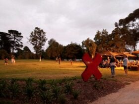 Shadowfax Friday Night fun