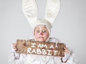 A person dressed as a rabbit