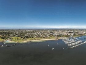 aerial shot of shores of the beach