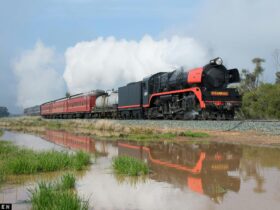 Steamrail Victoria Train