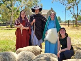 3 ancient greek civilians surrounded by sheep