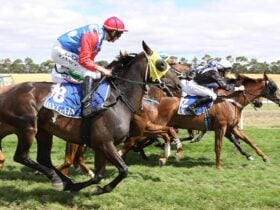 Hamilton Cup