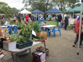 Market stalls