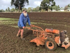 Hamilton Pastoral Museum