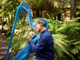 Harp Meditations at Melbourne Gardens