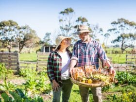 Workshop presented by owners Peter and Beatrice
