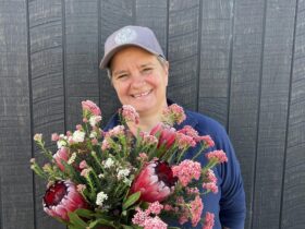 protea bunch