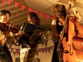 Vardos Hungarian trio