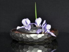 Silver pot with purple flowers