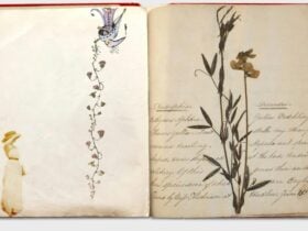 In the Company of Small Things exhibitions