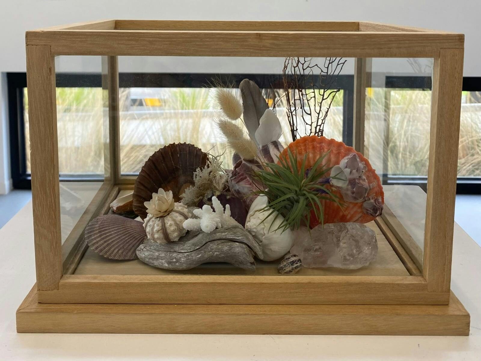 A close up shot of a glass terrarium filled with plants