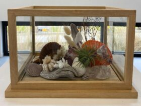 A close up shot of a glass terrarium filled with plants