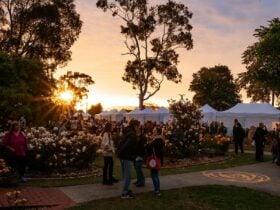 Dusk at the International Rose Garden Festival Morwell