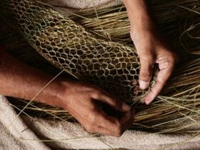 Aunty Ellen Trevorrow weaving rushes, Meningie, Ngarrindjeri Country, South Australia, 2025.