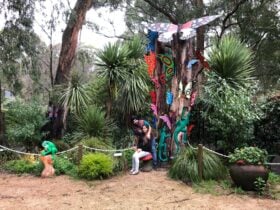 Butterfly Garden