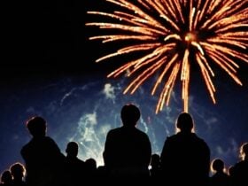 People standing in a group watching fireworks.