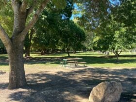 Kiewa Memorial Park