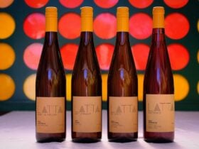 Connect with Latta Wines - Latta wine bottles with a connect four back drop