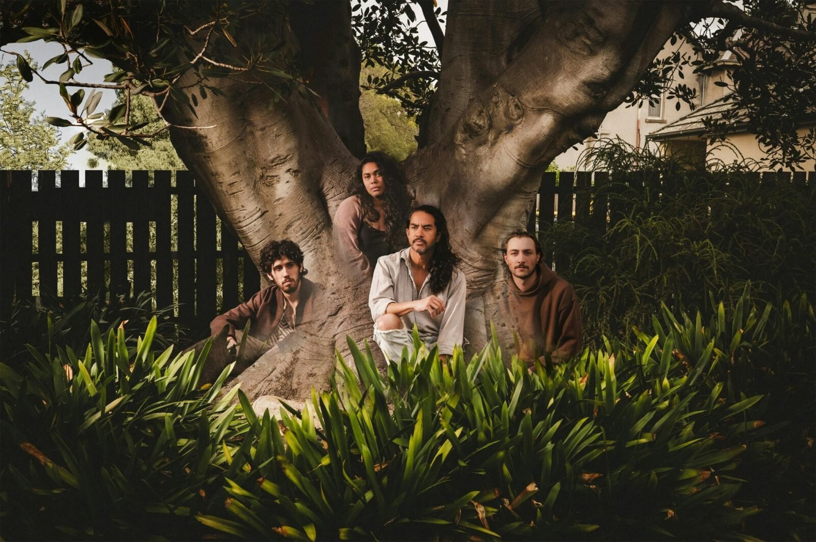 Four First Nations people sit in front of a sprawling, grand tree.