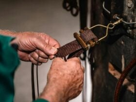 Close up of a pair of hands plating a leather belt