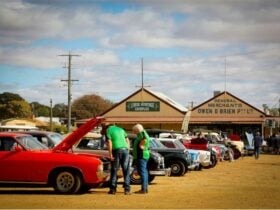 Lockington Lions Club Swap Meet, Show n Shine & Market edit