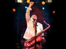 The Black Sorrows image