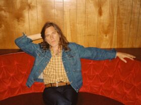 Fruit Bats Solo image