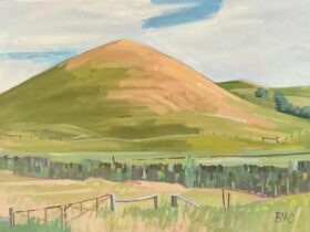 Pastoral landscape image