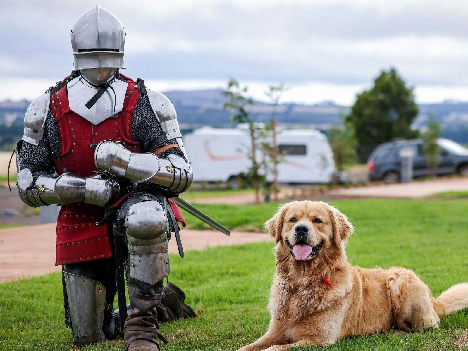 Medieval Mutts