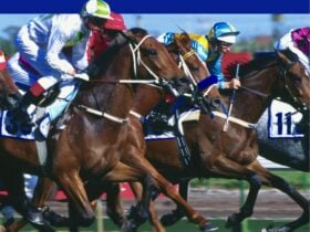 Melbourne Cup Day Lunch at 360Q